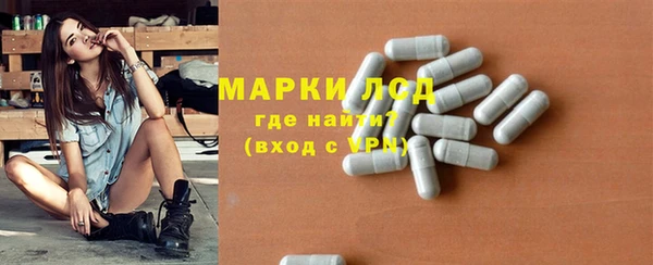 сатива Аркадак