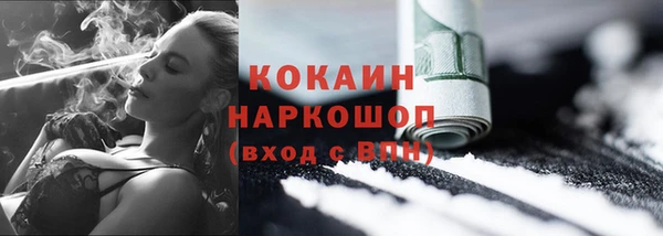 сатива Аркадак