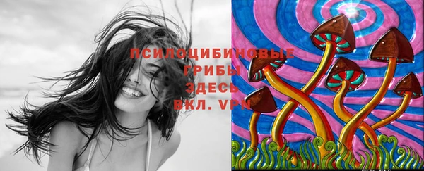 MDMA Premium VHQ Армянск