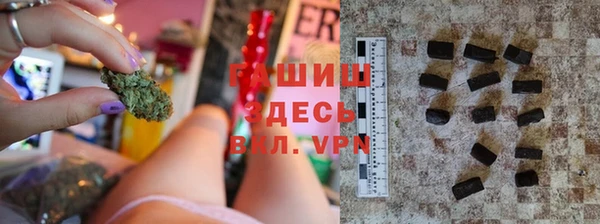 сатива Аркадак